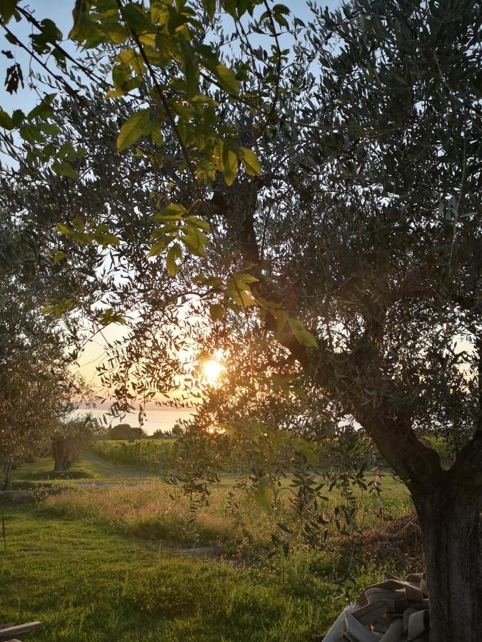Appartamenti Bellini Bardolino Exteriér fotografie