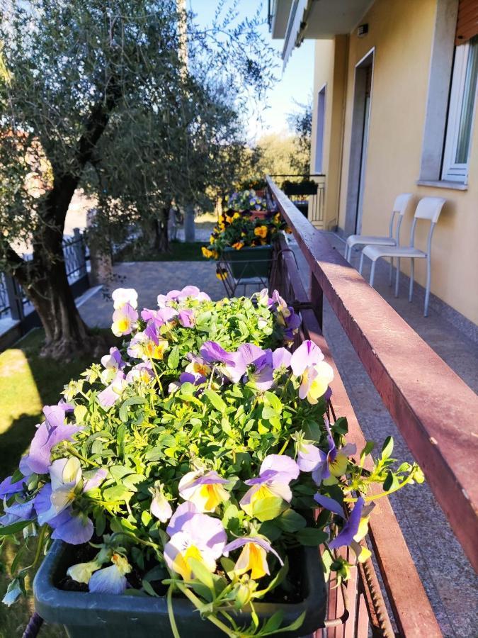 Appartamenti Bellini Bardolino Exteriér fotografie