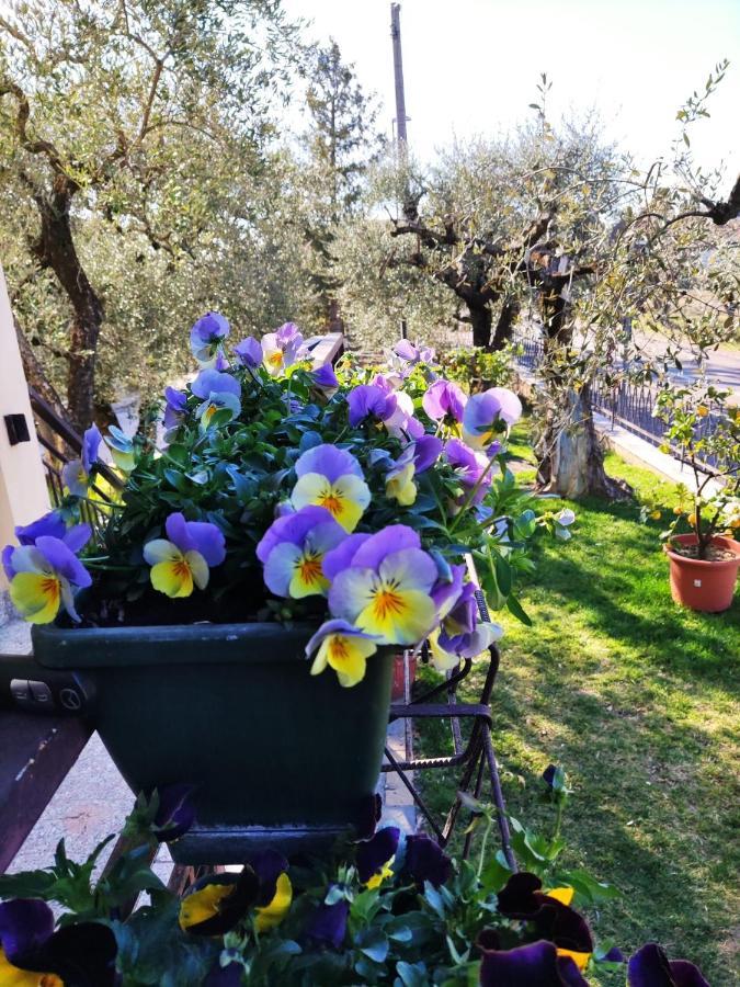 Appartamenti Bellini Bardolino Exteriér fotografie